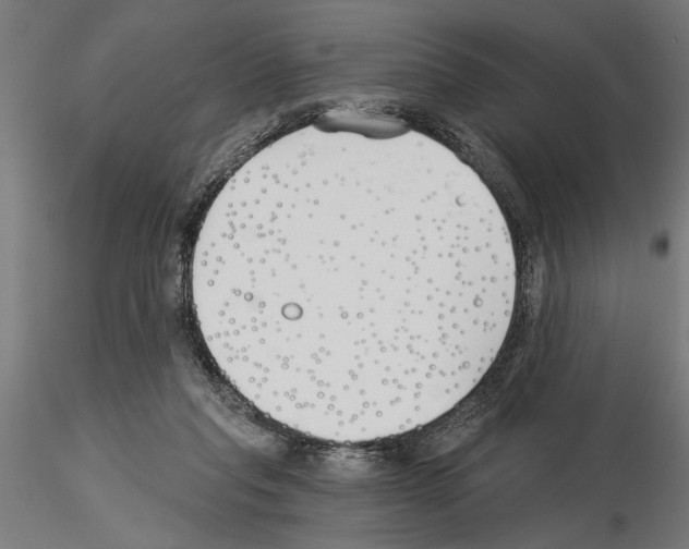 X0000115240261200912111101