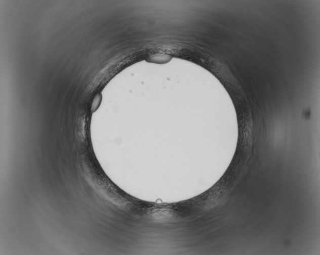 X0000115240262200912111101