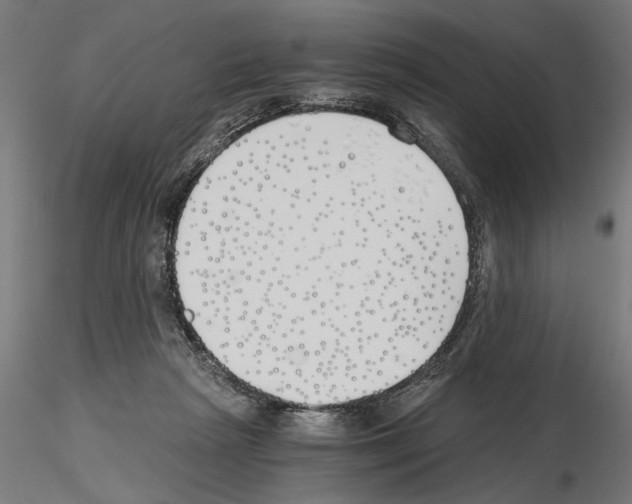 X0000115240265200912111101