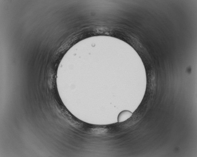 X0000115240266200912111101