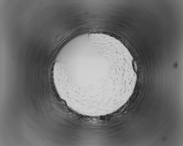 X0000115240268200912111101