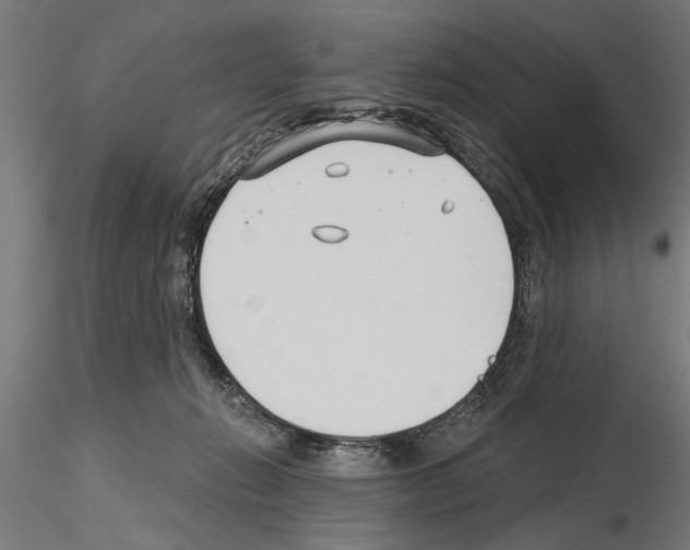 X0000115240270200912111101