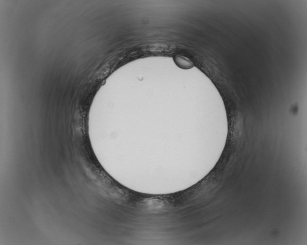 X0000115240272200912111101