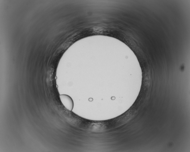 X0000115240275200912111101