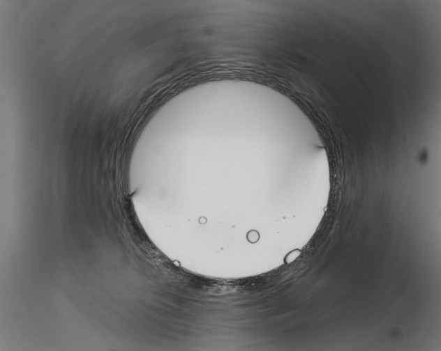 X0000115240276200912111101