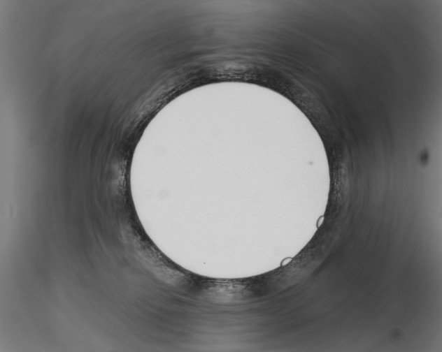 X0000115240278200912111101