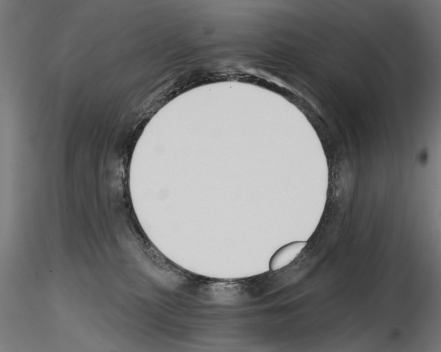 X0000115240279200912111101