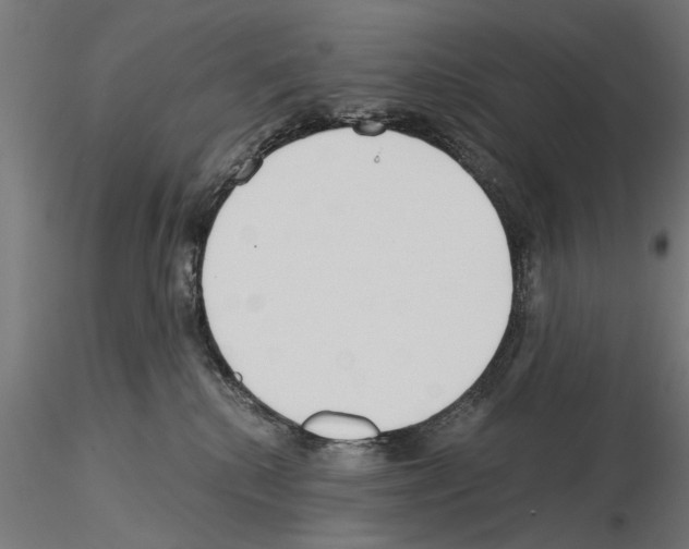 X0000115240280200912111101