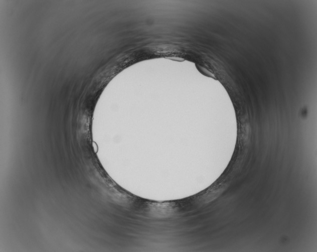 X0000115240281200912111101