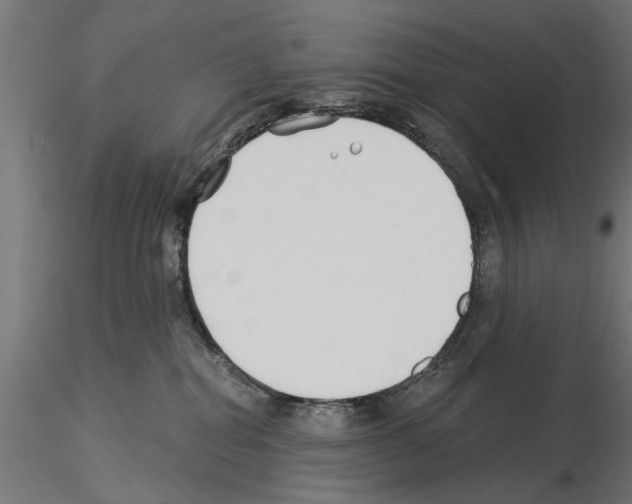 X0000115240282200912111101