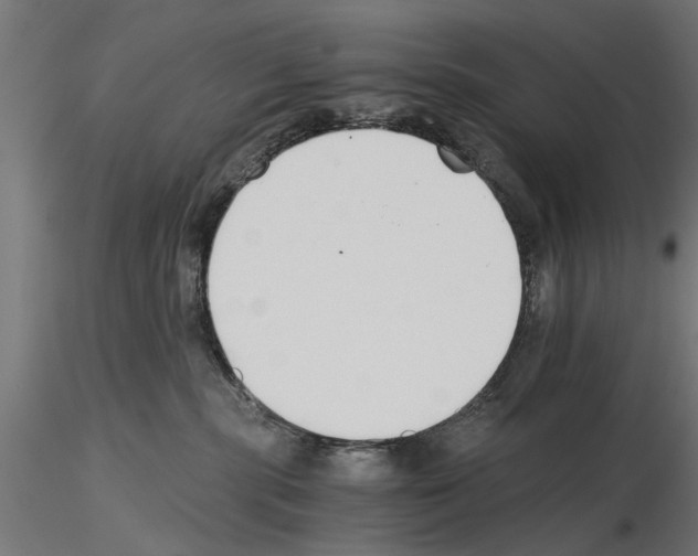 X0000115240283200912111101