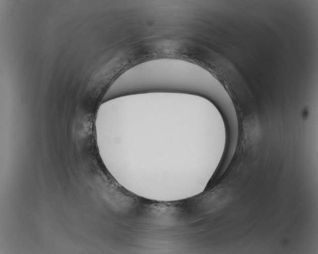 X0000115240284200912111101