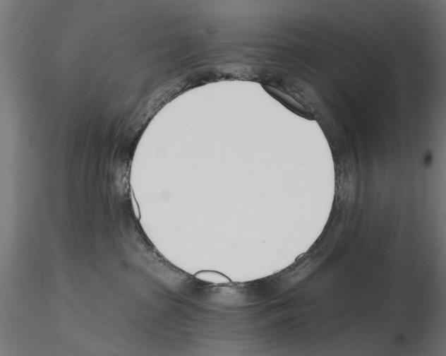 X0000115240285200912111101