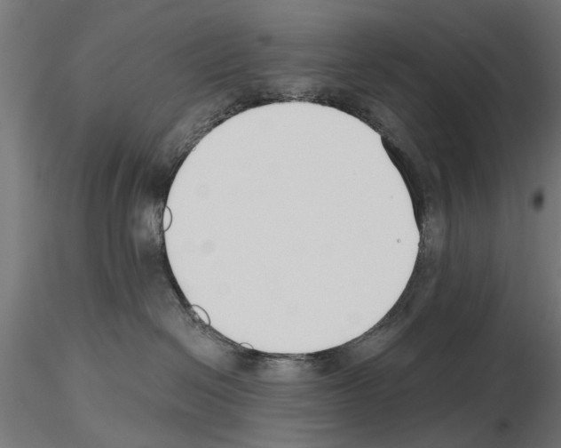 X0000115240286200912111101