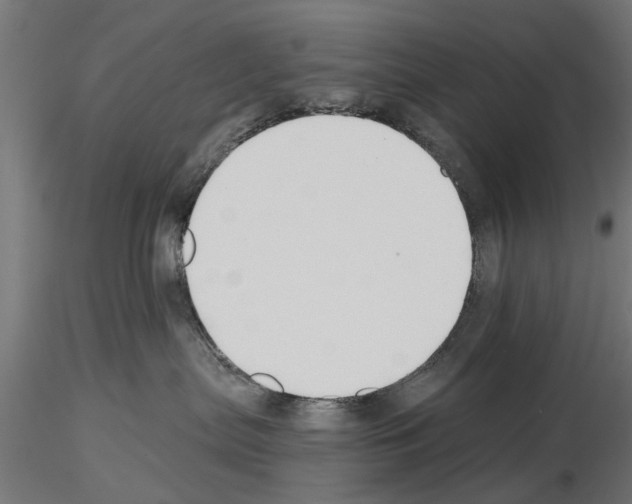 X0000115240287200912111101