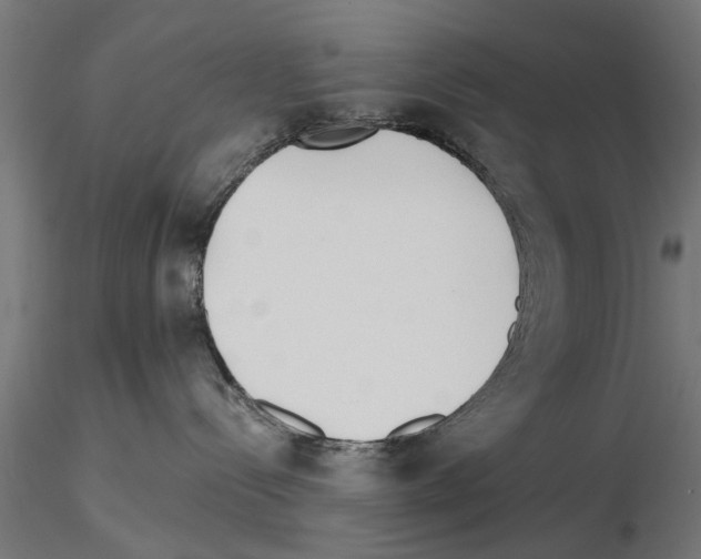 X0000115240288200912111101