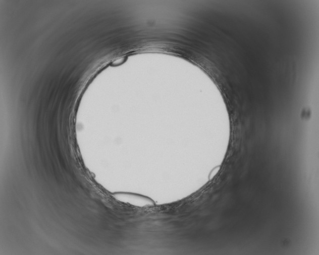 X0000115240289200912111100