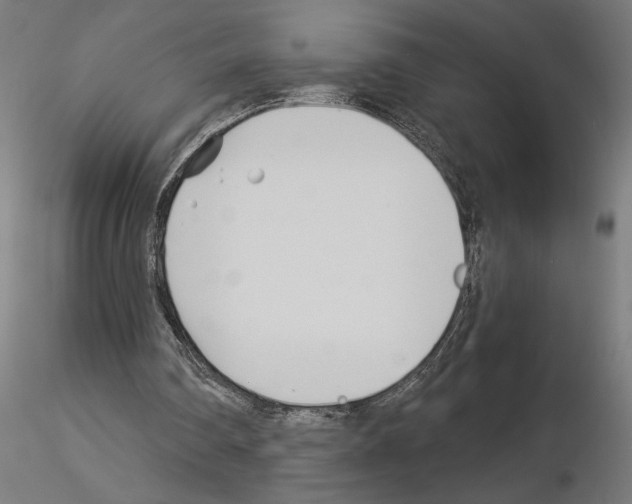 X0000115240290200912111100