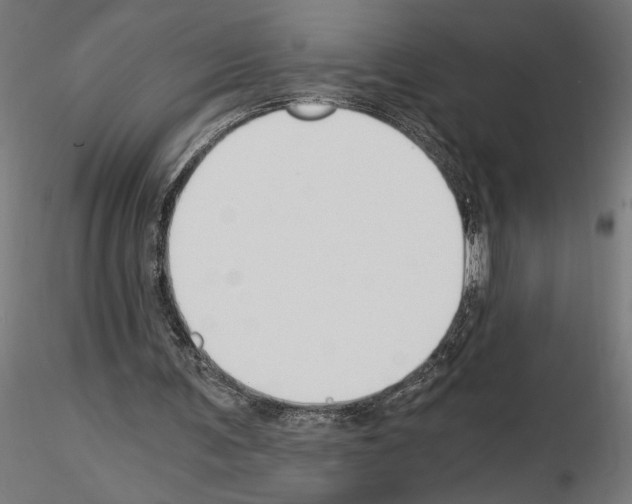 X0000115240291200912111100