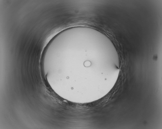 X0000115240292200912111100