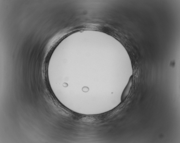 X0000115240294200912111100