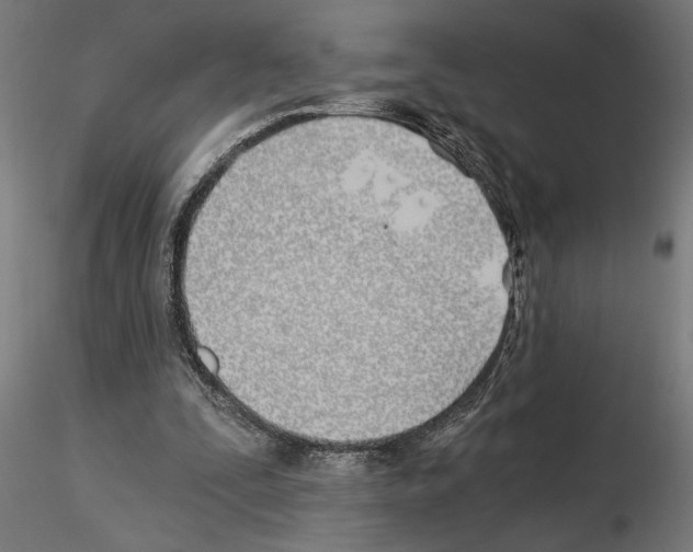 X0000115240295200912111100