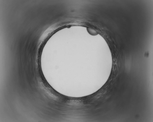 X0000115240296200912111100