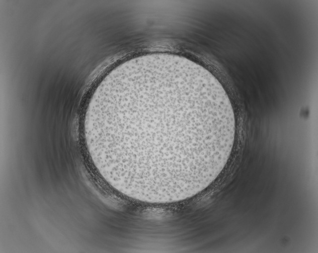 X0000115240298200912111100