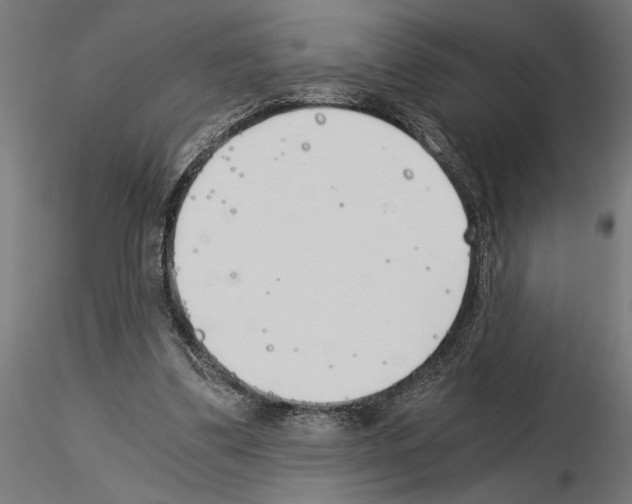 X0000115240299200912111100