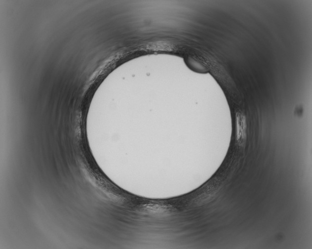 X0000115240300200912111100