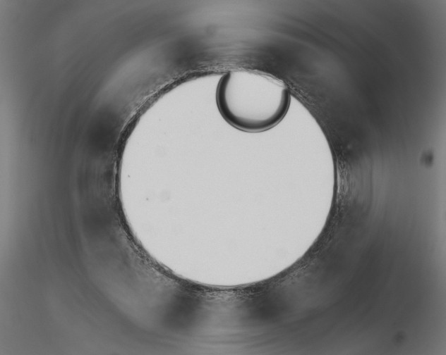 X0000115240301200912111100