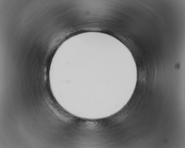 X0000115240302200912111100