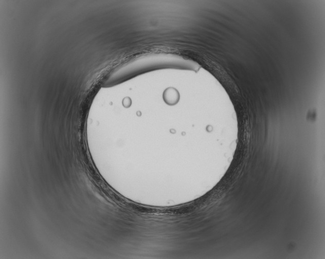 X0000115240303200912111100