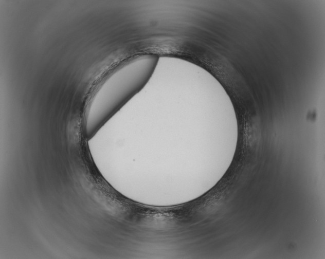 X0000115240304200912111100