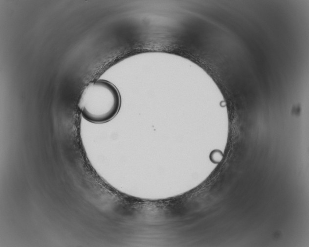 X0000115240305200912111100