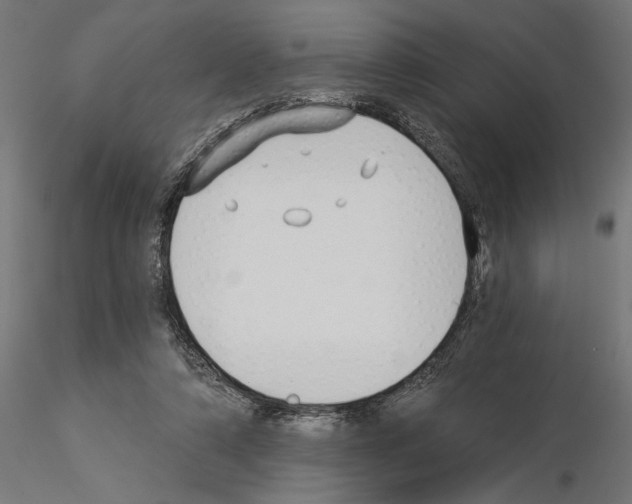 X0000115240306200912111100