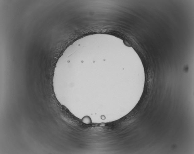 X0000115240307200912111100