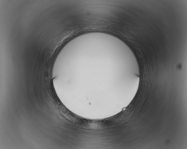 X0000115240308200912111100