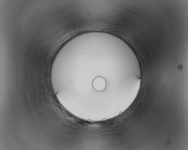 X0000115240309200912111100