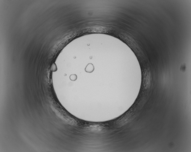 X0000115240310200912111100