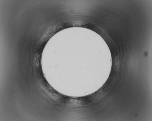 X0000115240311200912111100