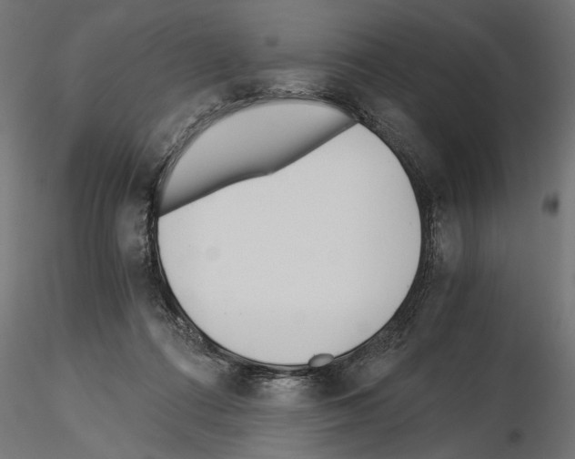 X0000115240312200912111100