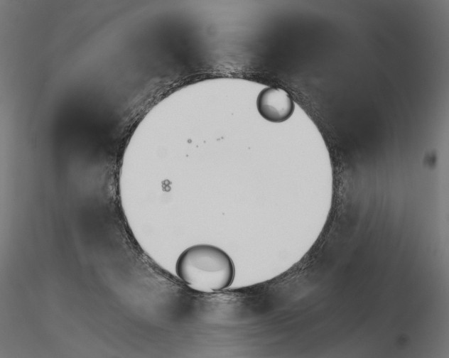 X0000115240313200912111100