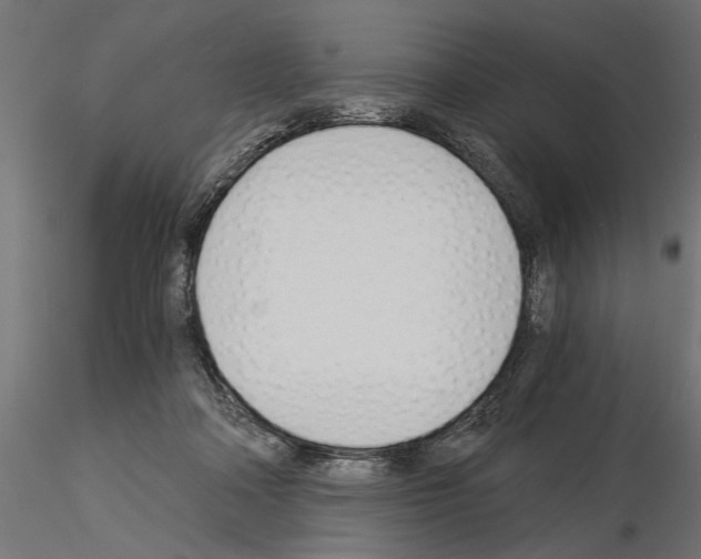 X0000115240314200912111100