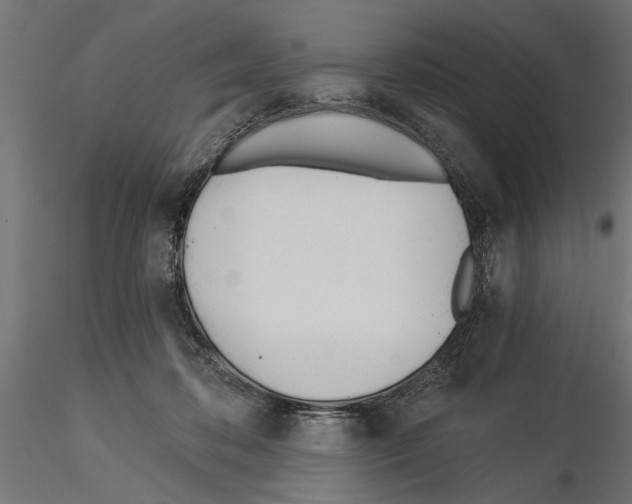 X0000115240316200912111100