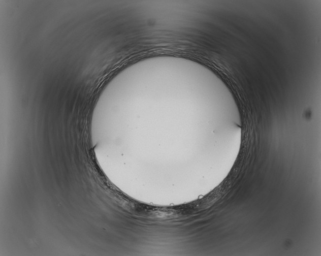 X0000115240317200912111100