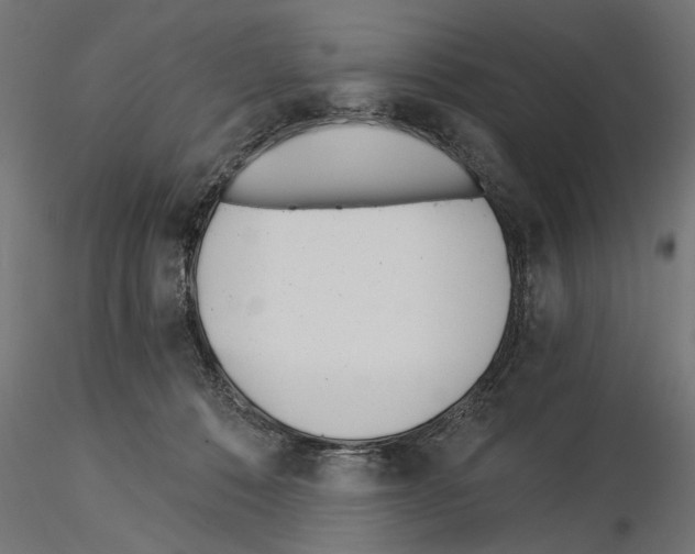 X0000115240320200912111100