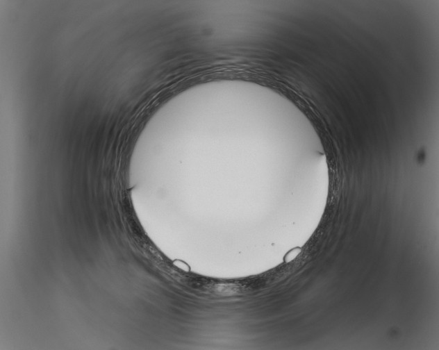 X0000115240324200912111100