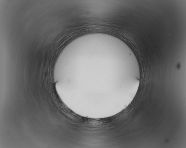 X0000115240325200912111100