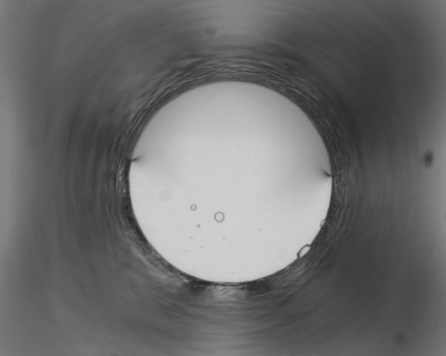 X0000115240327200912111100